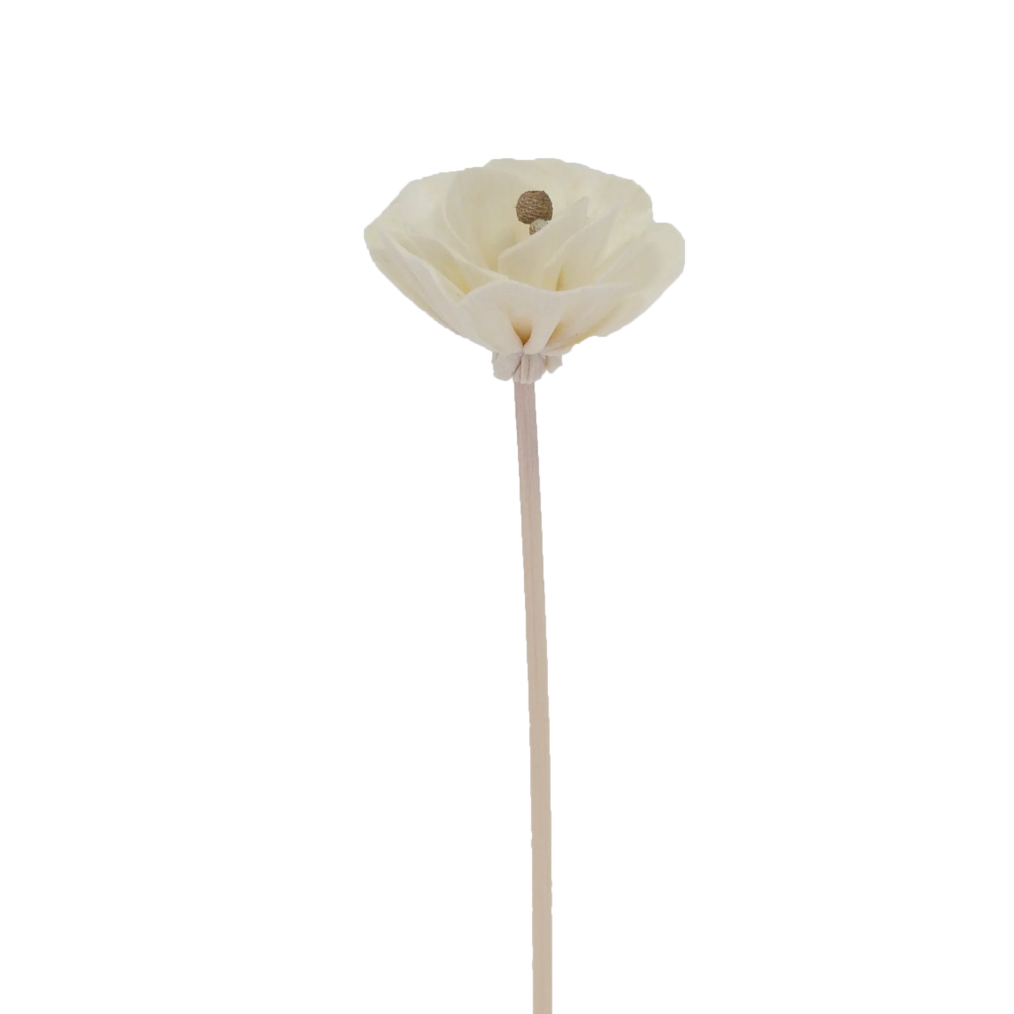Chinese Peony Flower - Rattan Diffuser Stick-0