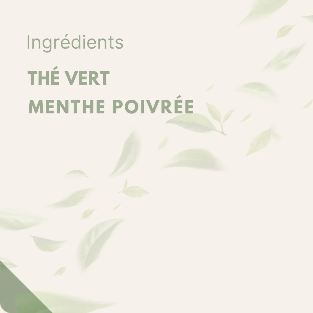 FraĂźcheur & Ăquilibre â ThĂ© Vert Ă la Menthe PoivrĂ©e Bio