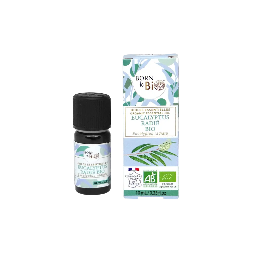 Certified Organic Eucalyptus Radiata Essential Oil-2