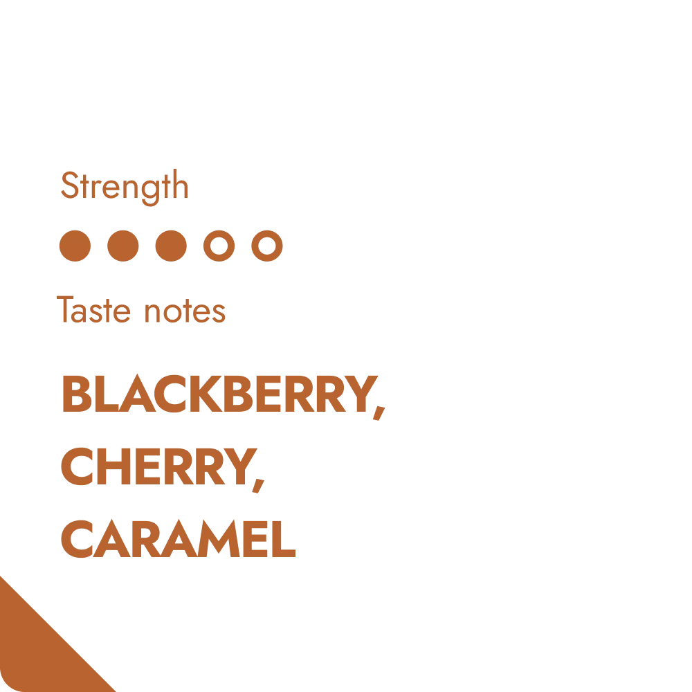 KENYA SPECIALTY COFFEE BEANS-1