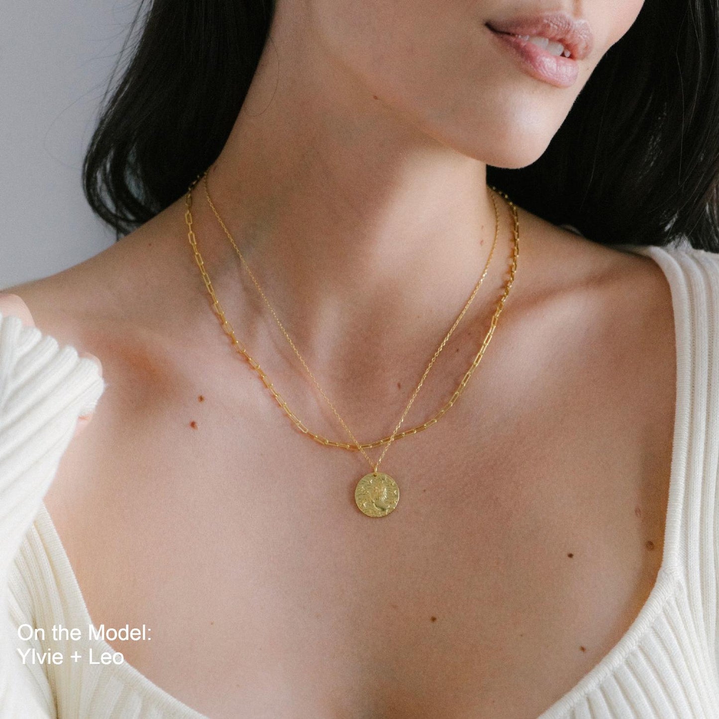 Collier en plaquĂ© or 18 carats avec pendentif rond reprĂ©sentant la tĂȘte dâun lion stylisĂ© entourĂ© dâĂ©toiles sur fond texturĂ©. IdĂ©e cadeau femme.
