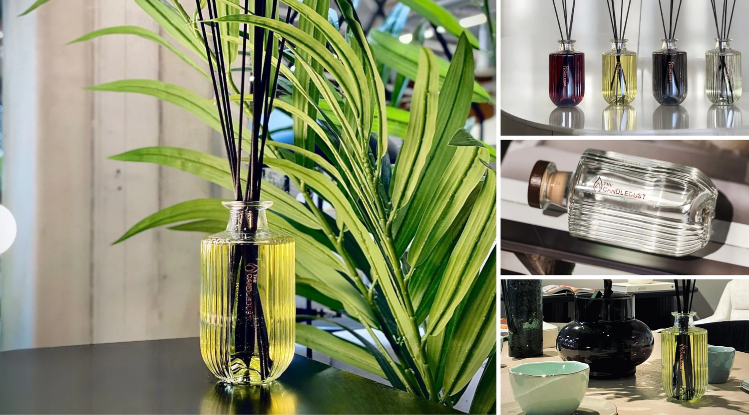 Diffuseurs de parfum d'intérieur à bâtonnets dans une ambiance végétale sereine, idée cadeau maison idéale pour un intérieur apaisant et élégant – KoolKado