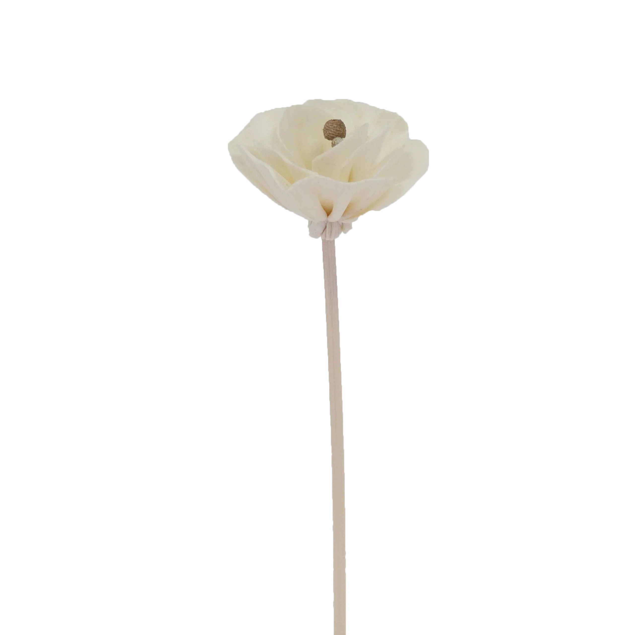 Chinese Peony Flower - Rattan Diffuser Stick-0