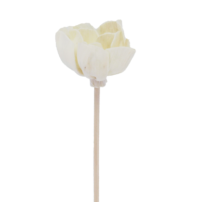 Andromeda Flower Bellflower - Rattan Diffuser Stick-0