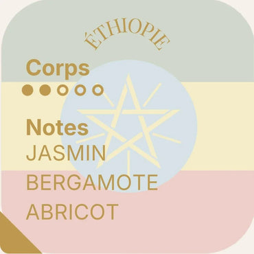 Aube Sauvage — Duo Cafés d’Afrique - Kool Kado