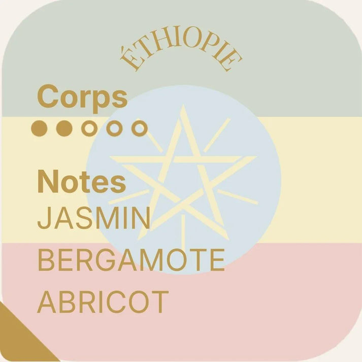 Aube Sauvage — Duo Cafés d’Afrique - Kool Kado