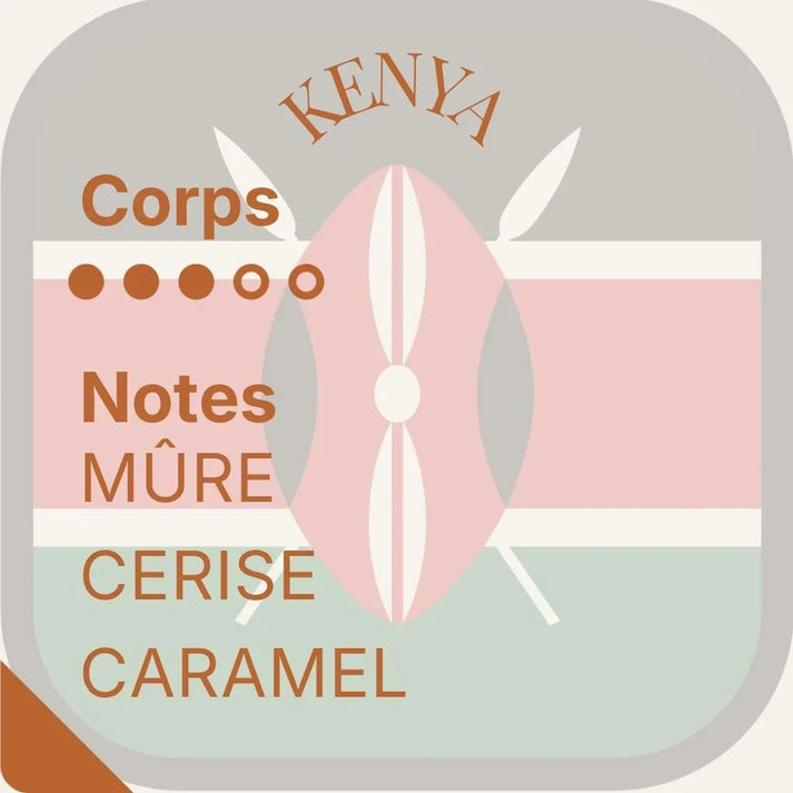 Aube Sauvage — Duo Cafés d’Afrique - Kool Kado