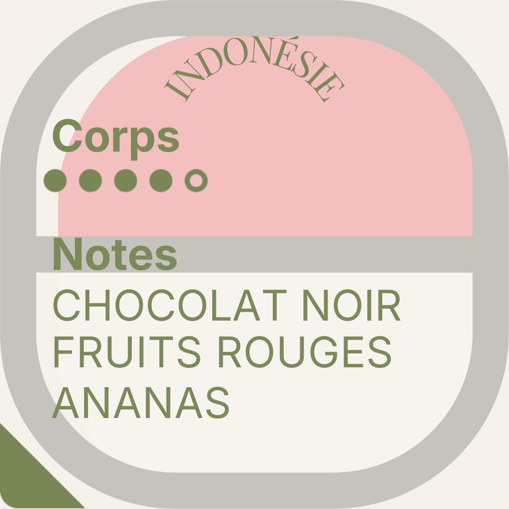 Brume de Java — Duo Cafés d'Asie