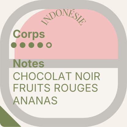 Brume de Java — Duo Cafés d'Asie