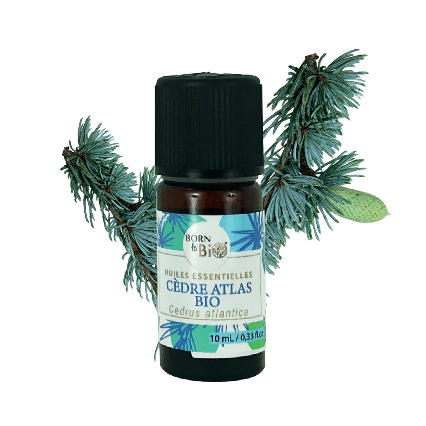 Certified Organic Atlas Cedar Essential Oil-0