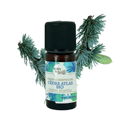 Certified Organic Atlas Cedar Essential Oil-0