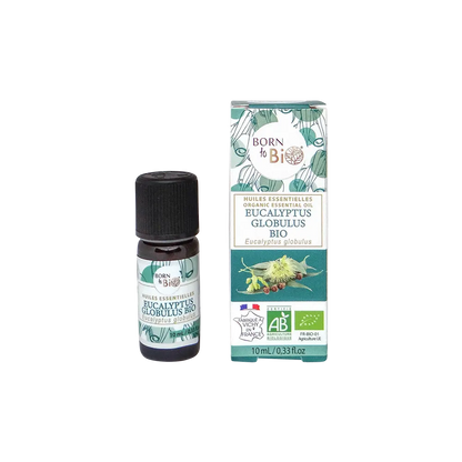 Eucalyptus globulus essential oil Certified Organic-0