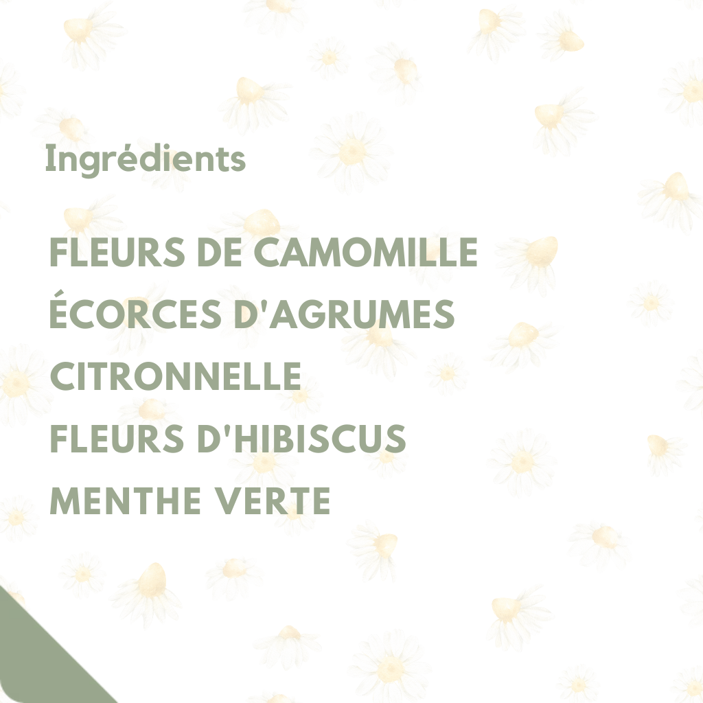 Camomille Vanillée — Infusion Bio Apaisante & Relaxante