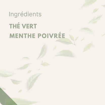 Fraîcheur & Équilibre — Thé Vert à la Menthe Poivrée Bio