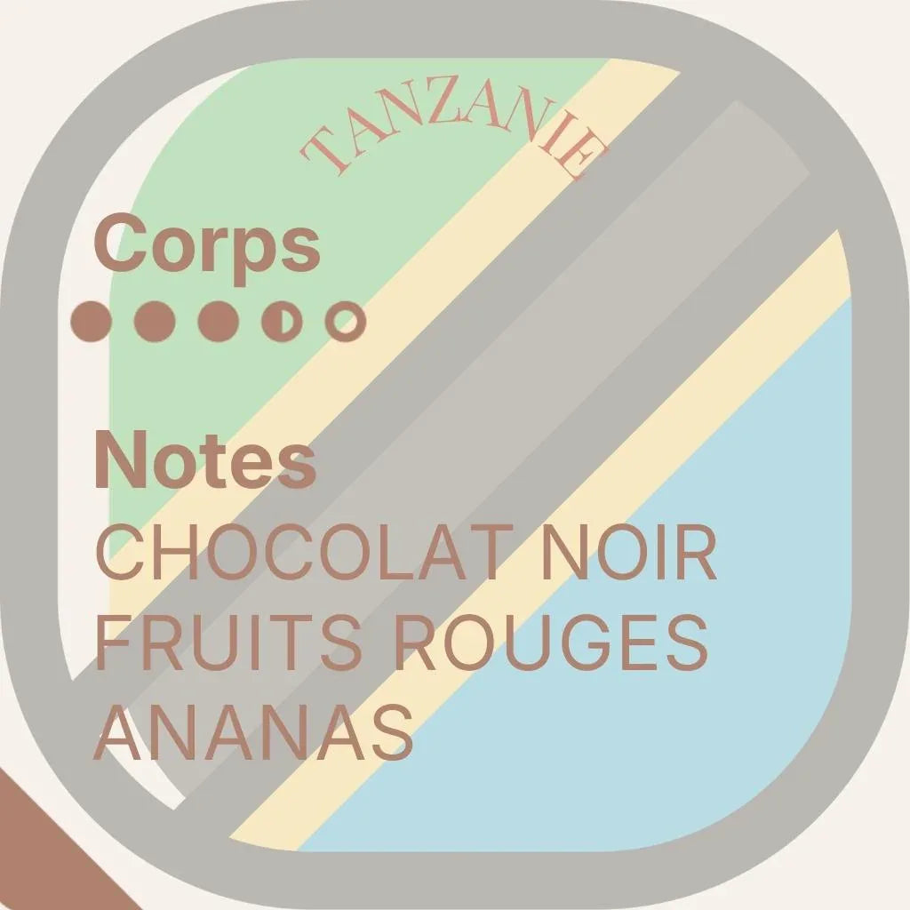 Horizon Lointain — Quatuor de découvertes exceptionnelles