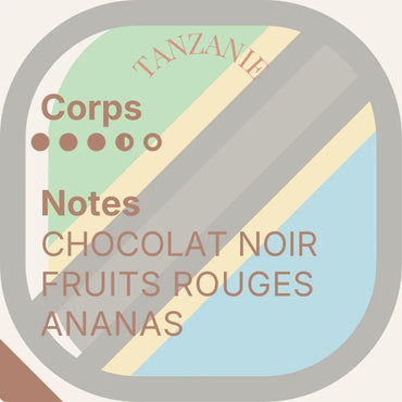 Horizon Lointain — Quatuor de découvertes exceptionnelles