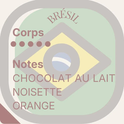 Horizon Lointain — Quatuor de découvertes exceptionnelles