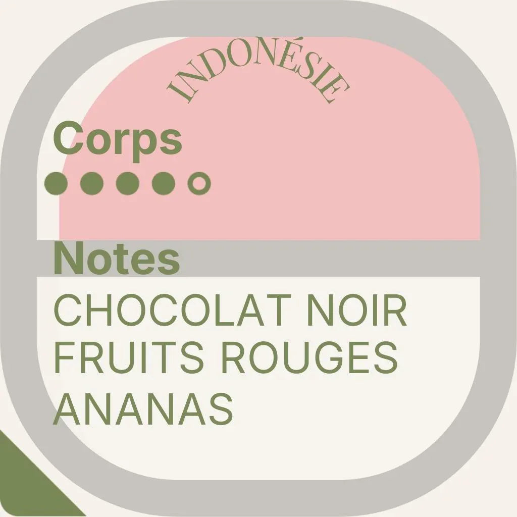 Horizon Lointain — Quatuor de découvertes exceptionnelles