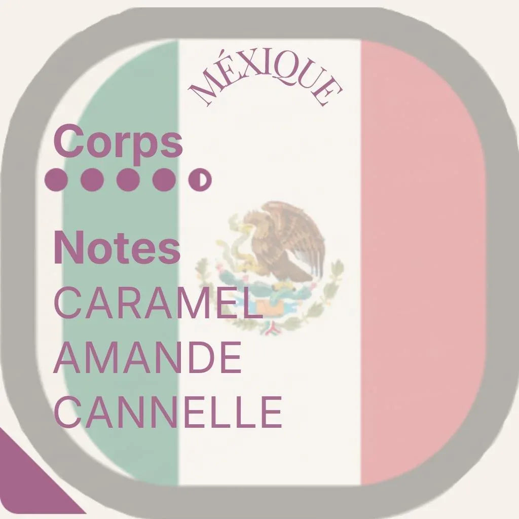 Horizon Lointain — Quatuor de découvertes exceptionnelles