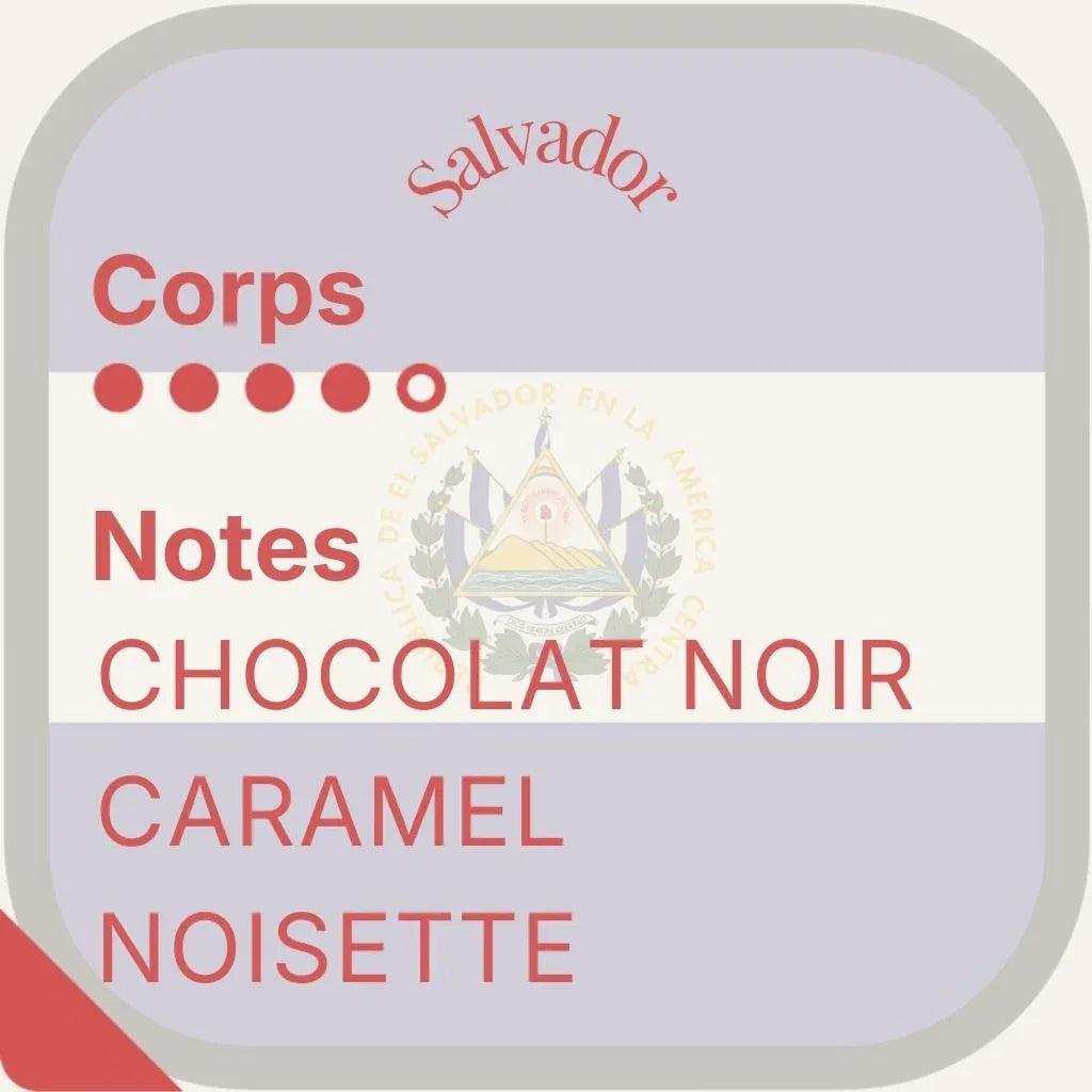 Héritage des Andes — Cinco cafés de prestigio