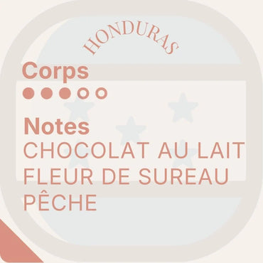 Héritage des Andes — Cinco cafés de prestigio