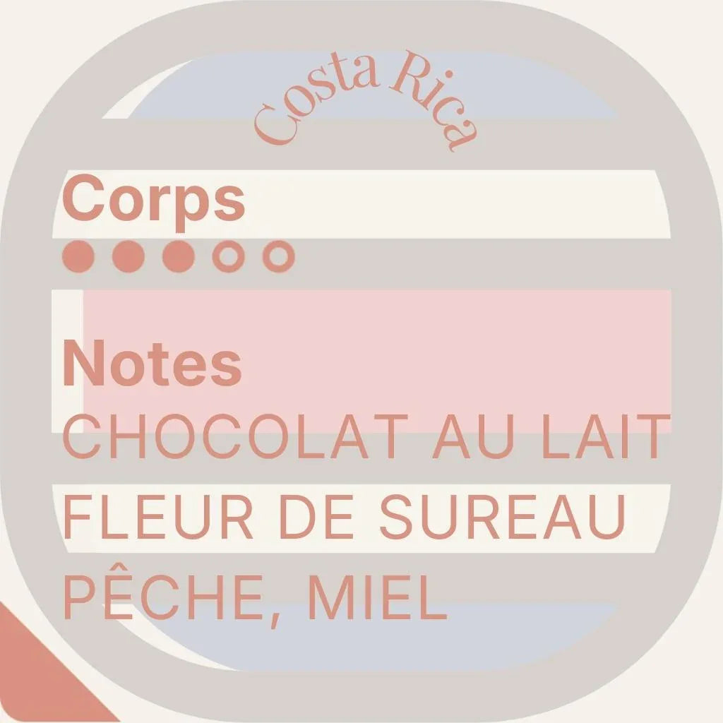 Héritage des Andes — Cinco cafés de prestigio