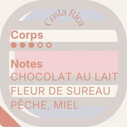 Héritage des Andes — Cinco cafés de prestigio