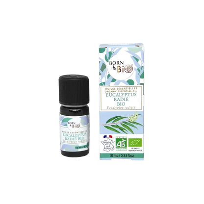 Certified Organic Eucalyptus Radiata Essential Oil-2