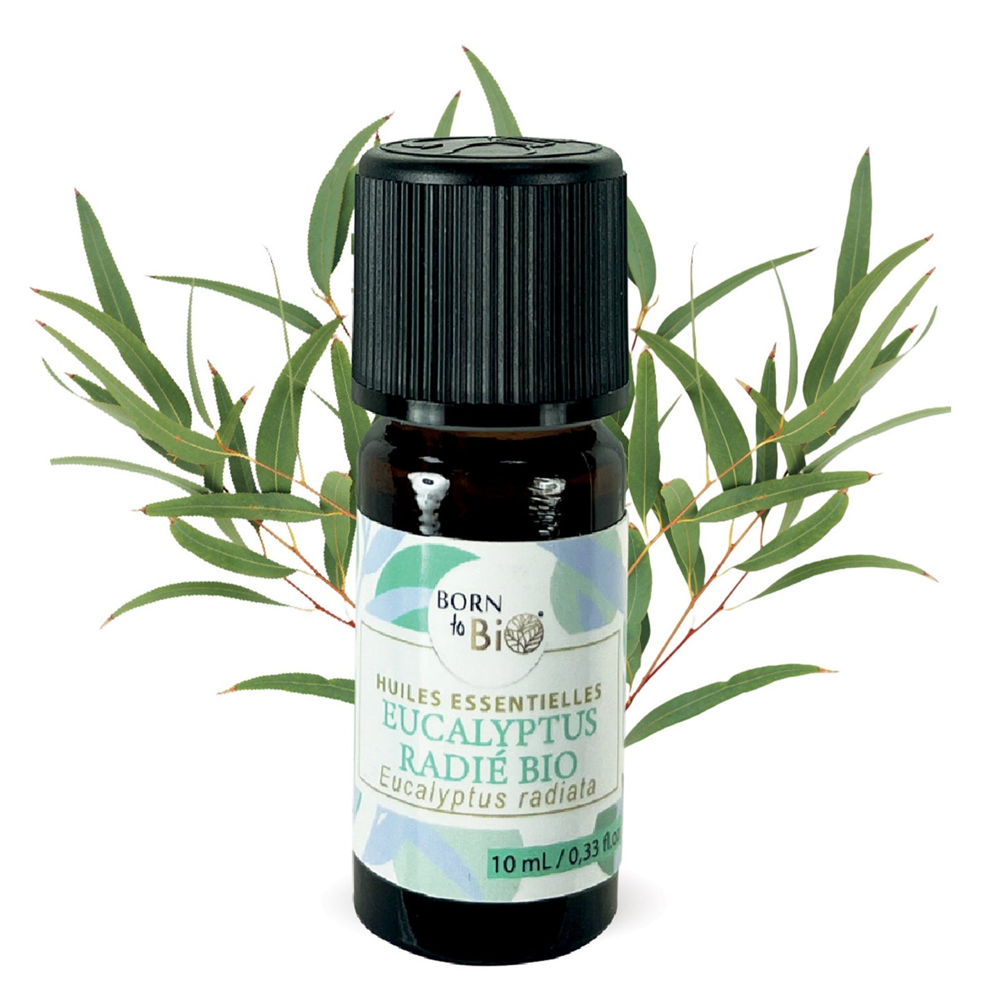 Certified Organic Eucalyptus Radiata Essential Oil-0