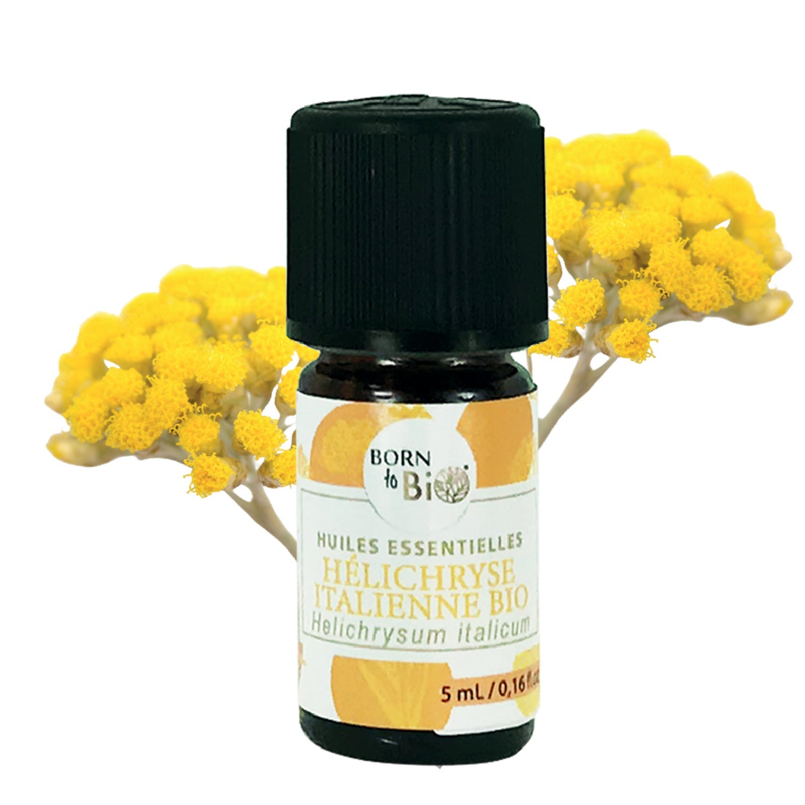 Certified Organic Italian Helichrysum Essential Oil-0