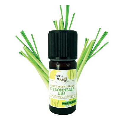 Certified Organic Lemongrass Essential Oil-0
