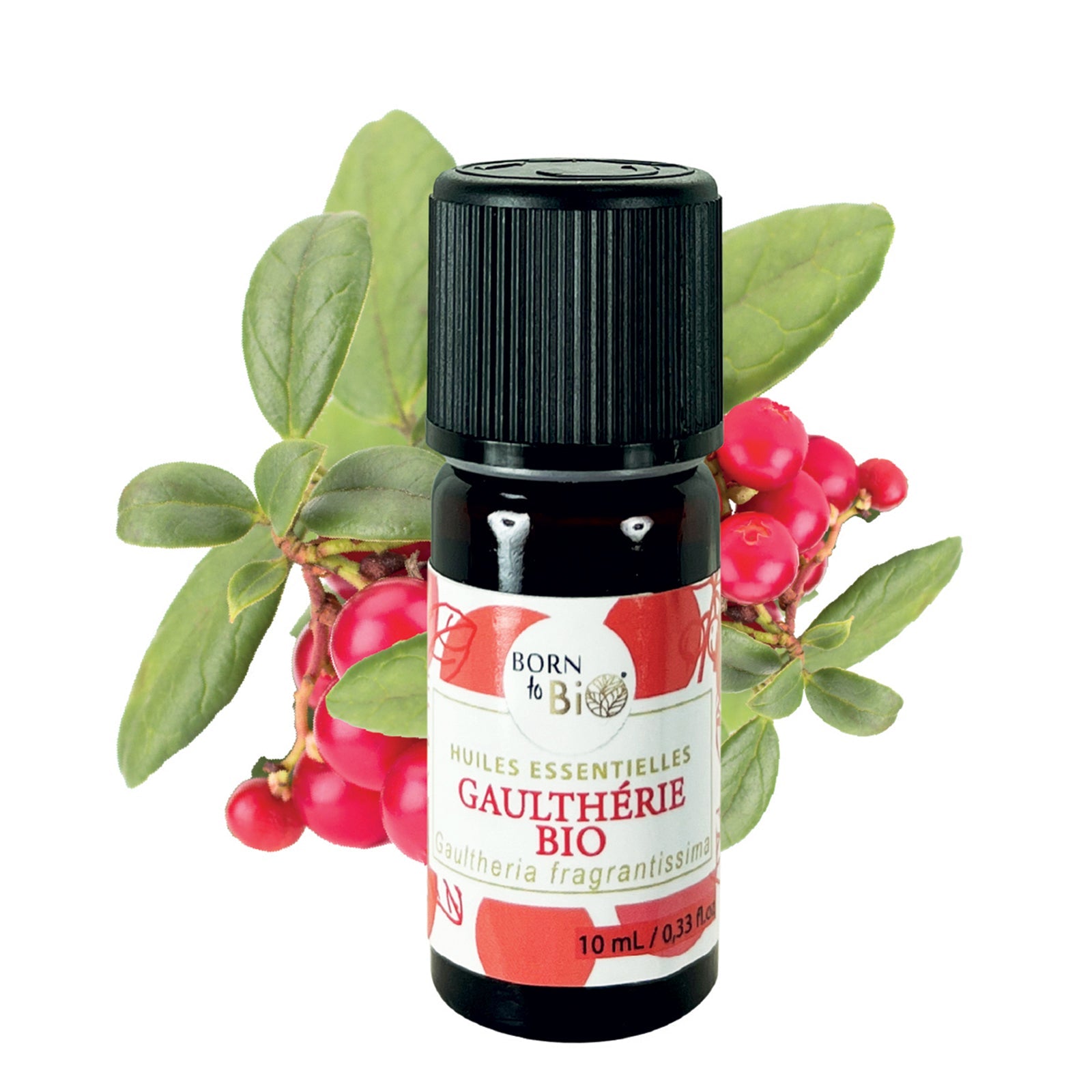 Certified Organic Wintergreen Essential Oil-0