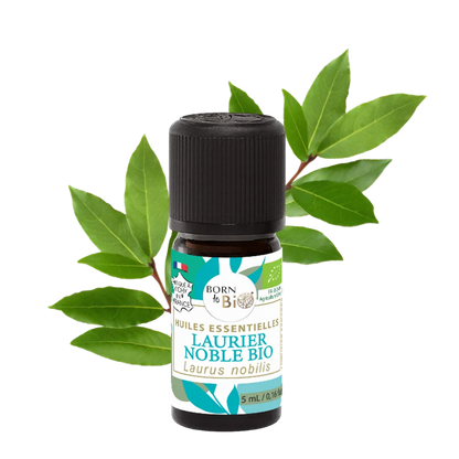 Certified Organic Noble Laurel Essential Oil-0