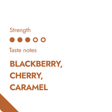 KENYA SPECIALTY COFFEE BEANS-1