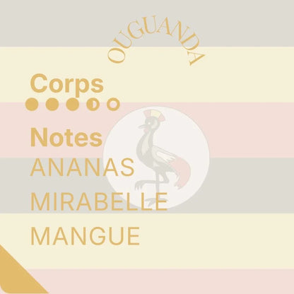 L’Odyssée Gourmet — Le tour du Monde en 3 cafés