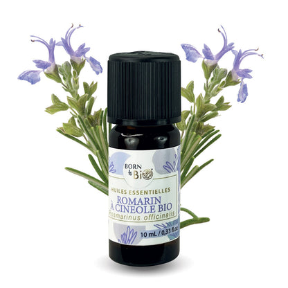 Certified Organic Rosemary Cineole Essential Oil-0