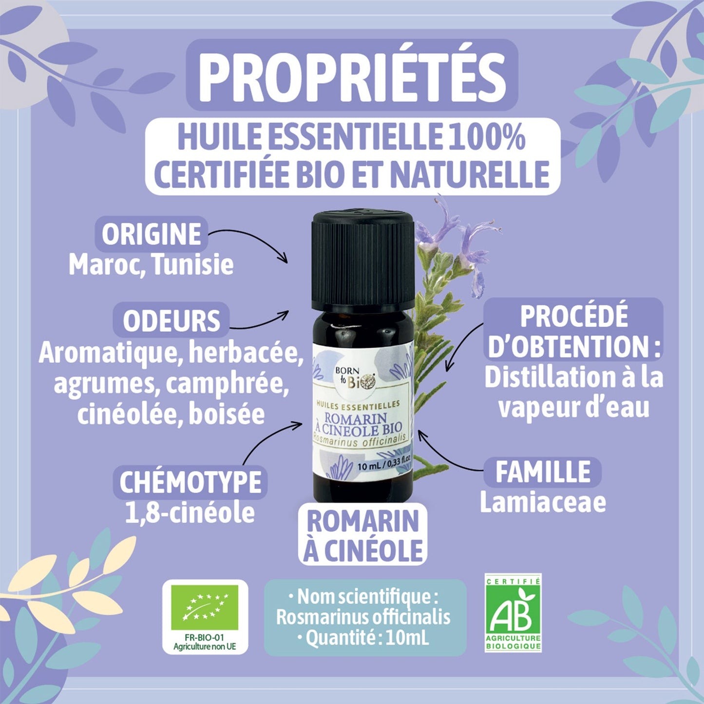 Certified Organic Rosemary Cineole Essential Oil-1