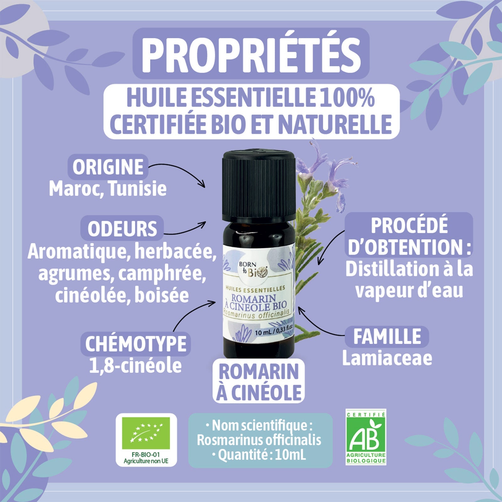 Certified Organic Rosemary Cineole Essential Oil-1