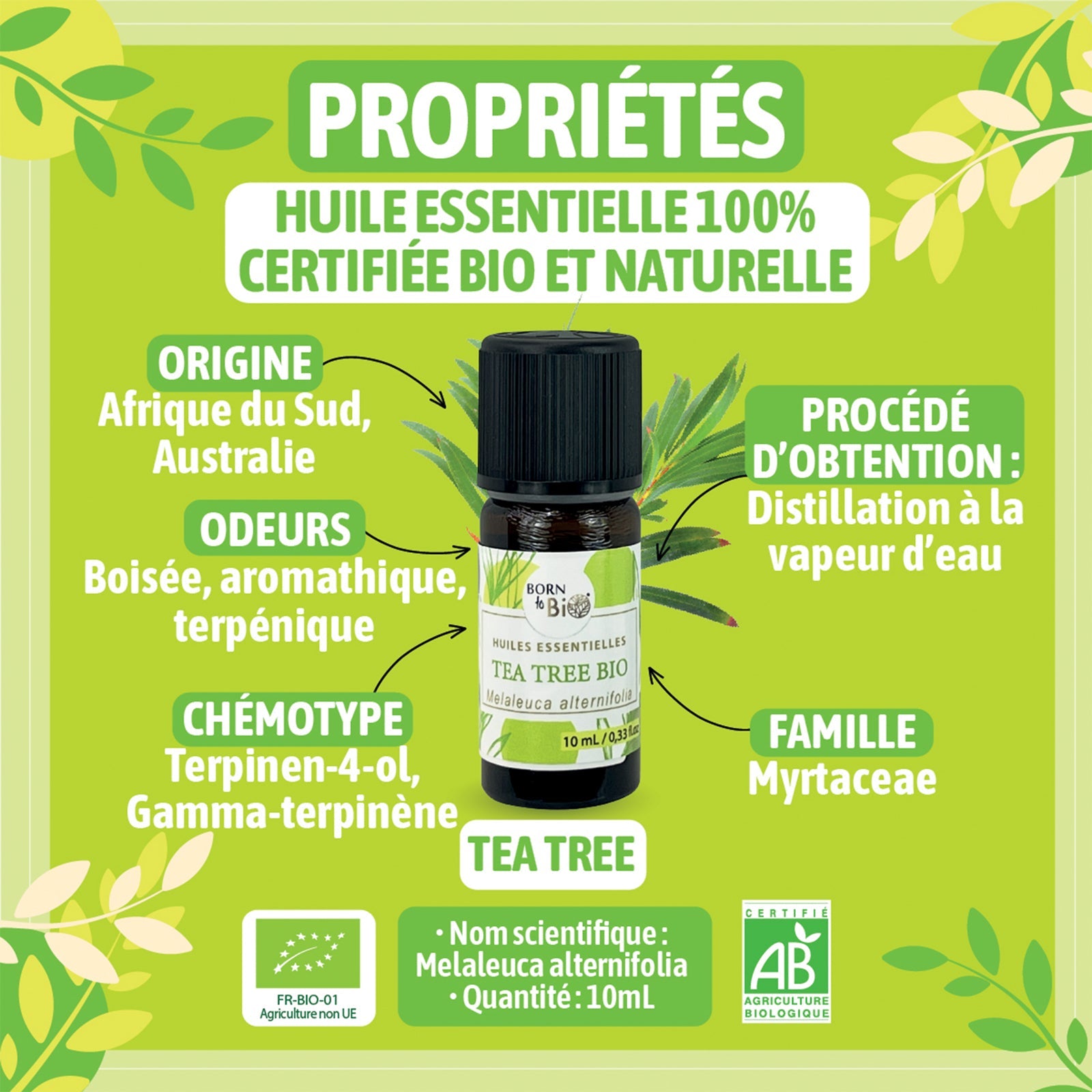 Certified Organic Tea Tree Essential Oil-1