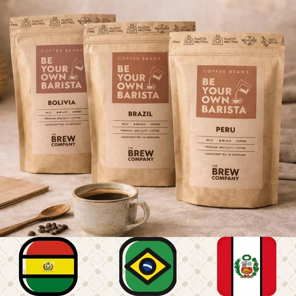 Terres de Soleil — Trio Cafés d'Amérique latine