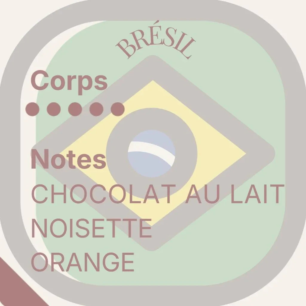 Terres de Soleil — Trio Cafés d'Amérique latine