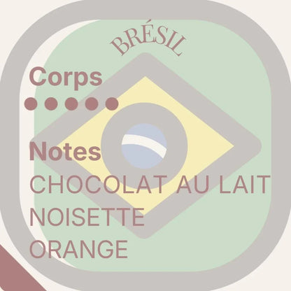 Terres de Soleil — Trio Cafés d'Amérique latine