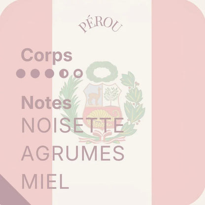 Terres de Soleil — Trio Cafés d'Amérique latine