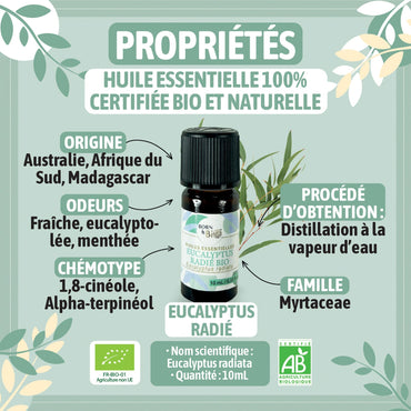 Certified Organic Eucalyptus Radiata Essential Oil-1
