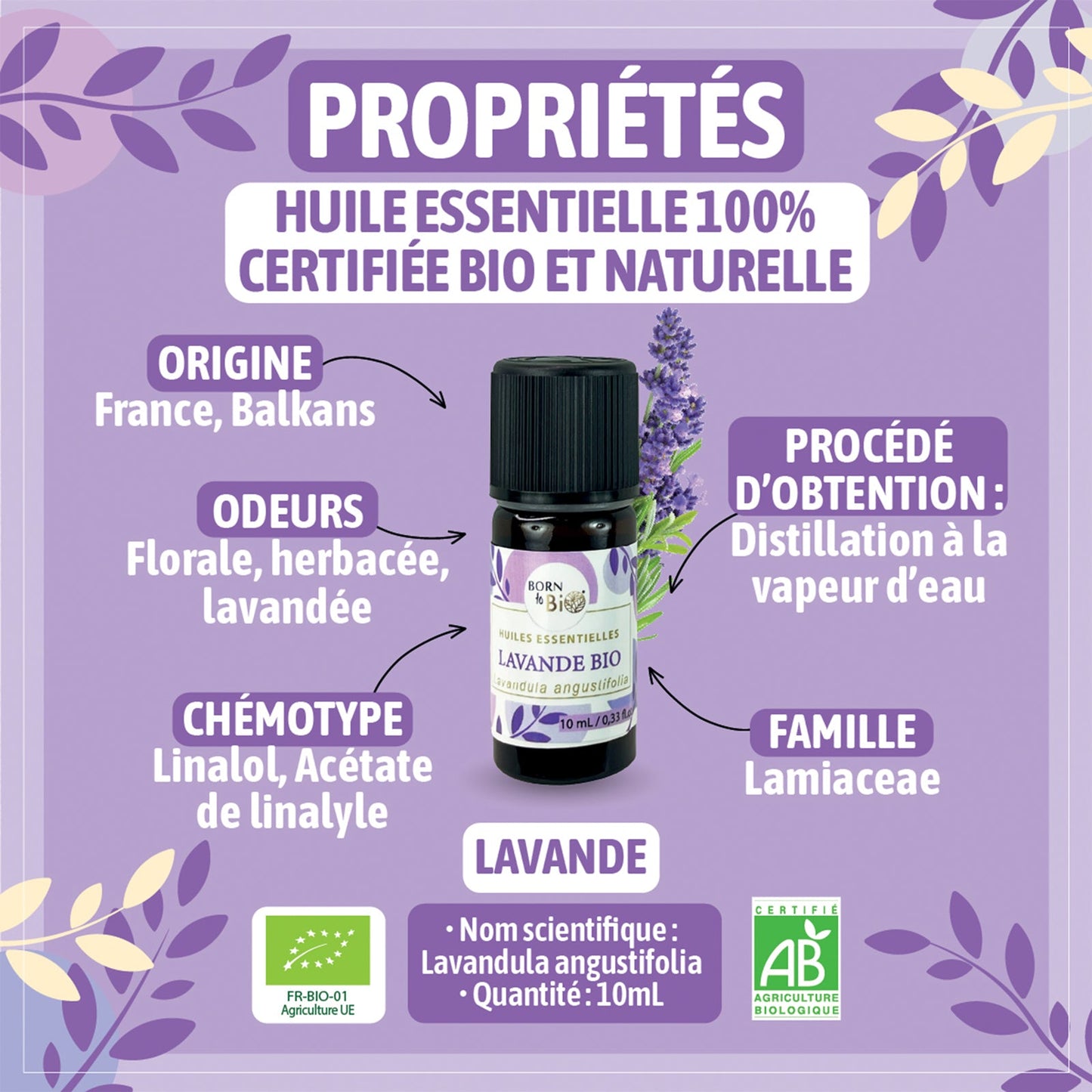 Certified Organic Lavender Essential Oil-1