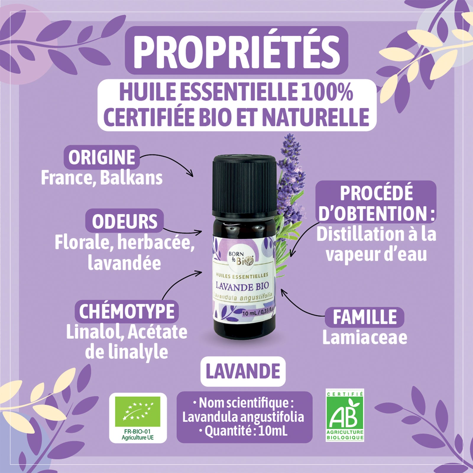Certified Organic Lavender Essential Oil-1