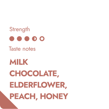 GUATEMALA SPECIALTY COFFEE BEANS-1