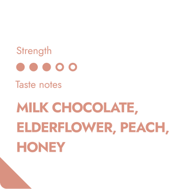 HONDURAS SPECIALTY COFFEE BEANS-1