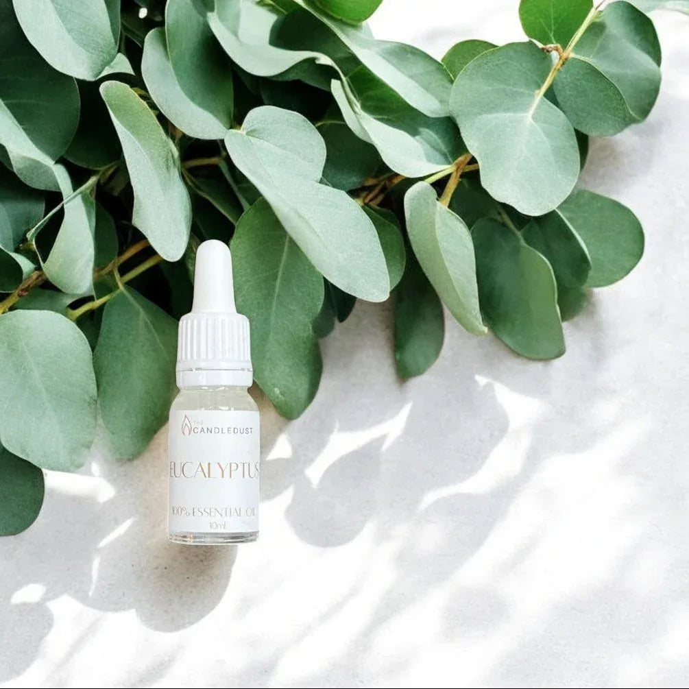 Huile parfumée d’intérieur à l’eucalyptus présentée dans un univers végétal, idée cadeau idéale pour créer une ambiance fraîche et équilibrée – KoolKado