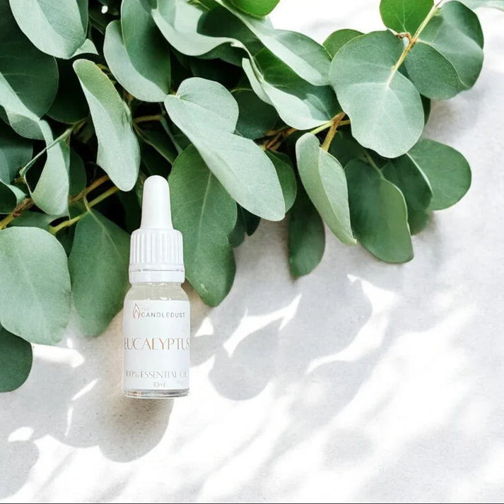 Huile parfumée d’intérieur à l’eucalyptus présentée dans un univers végétal, idée cadeau idéale pour créer une ambiance fraîche et équilibrée – KoolKado